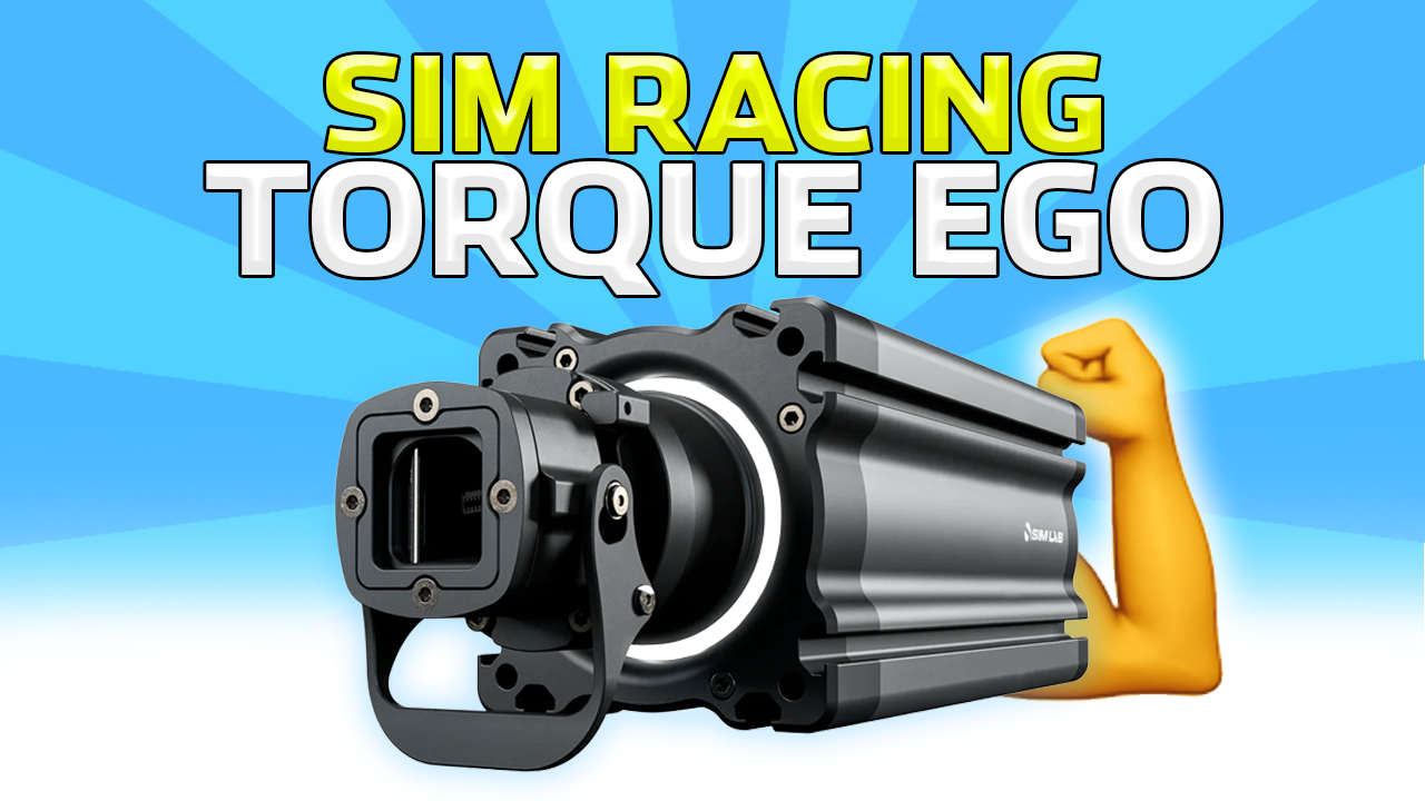 Sim racing torque ego thing